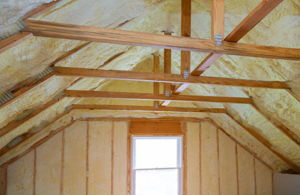 Best Residential Insulation in Belgium, WI